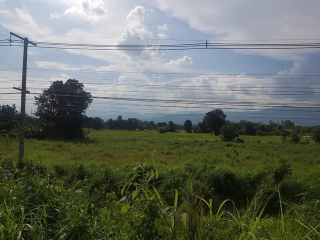 ขายที่ดินโปรพิเศษ ติดถนนเอเซีย ถ.พหลโยธิน