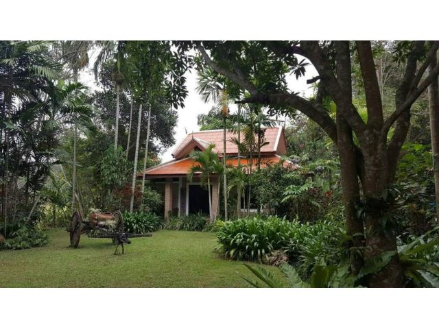 บ้านหรูสไตล์รีสอร์ทสวยเชียงใหม่ขายถู