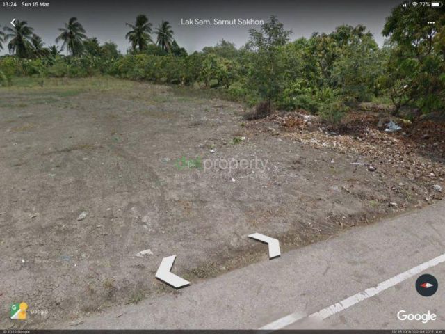 ขายที่ดิน ใน หลักสาม, บ้านแพ้ว