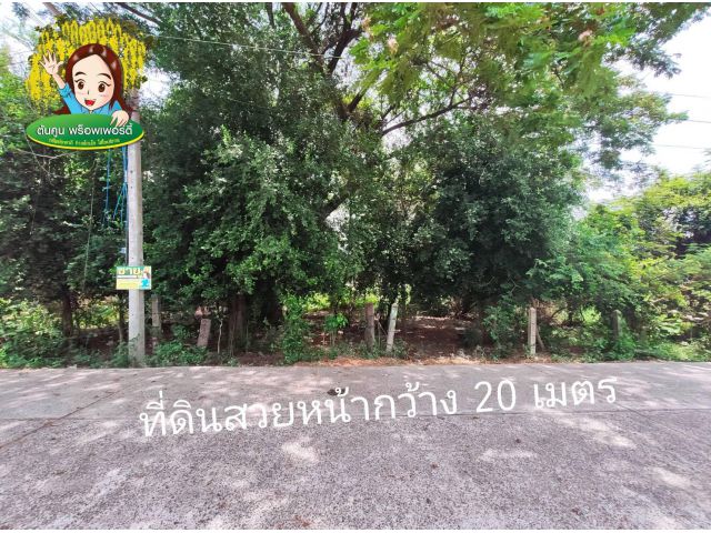 ขายที่ดินขนาด 252 ตร.ว. แปลงสวยใกล้ตลาดเจริญศรี อ.วารินชำราบ