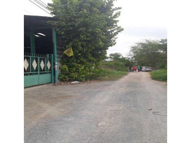 ที่ดิน 100 ตรว. ซอยลาซาล52 หรือ ถ.แบริ่ง ซอย33