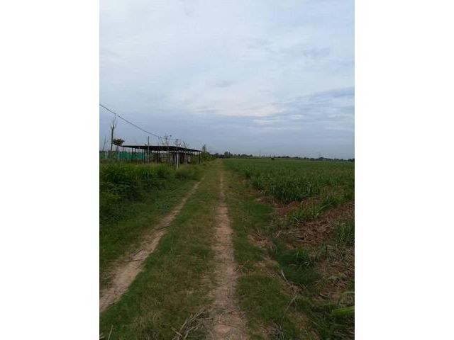 ขายที่ดินเปล่าพร้อมสวนป่าสวนผลไม้ จังหวัดนครปฐม