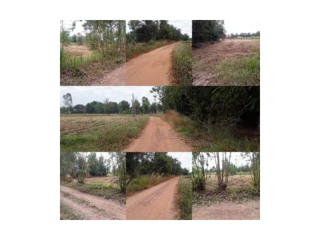 ขายที่ดิน 4 ไร่ 76 ตรว.ในหมู่บ้าน ตำบลหนองแวง อำเภอวัฒนานคร  จังหวัดสระแก้ว ติดทาง 2 ด้าน หน้ากว้างประมาณ 50 เมตร มีน้ำประปา มีไฟฟ้า