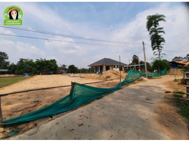 ที่ดินสร้างบ้านเพียง 155,000 บาท พิกัดบ้านสว่างเชียงหวาง/ ยโสธร