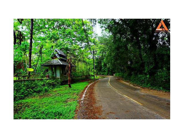 ขายที่ดินติดบ่อน้ำพุร้อนสันกำแพง-แม่ออน บ้านโป่งนก ตำบลสหกรณ์ อำเภอแม่ออน จังหวัดเชียงใหม่
