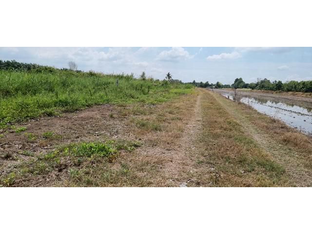 ที่ดินคลอง 8 รังสิต- ธัญบุรี 1 ไร่ จ.ปทุมธานี