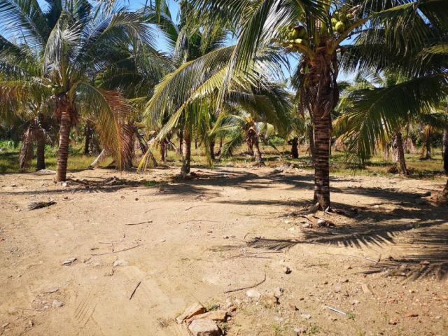 ขายที่ดินเปล่ง 7 แปลง ใกล้ทะเลหาดแม่รำพึงเพียง 1.4 km. ใกล้ถนนสุขุมวิท จ.ระยอง