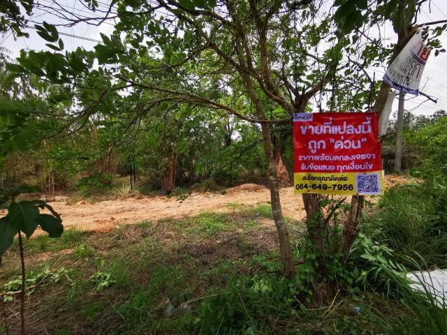 ต้องการ ขาย ที่ดิน จ.ฉะเชิงเทรา อ.พนมสารคาม เกาะขนุน ติดถนน 21ไร่2งาน21ตรว เร่งขายถูกด่วนมาก