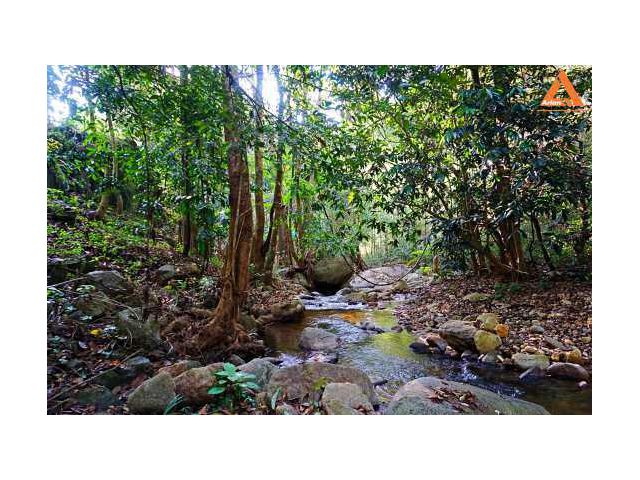 ขายที่ดิน บ้านแม่ลาย-แม่กำปอ ตำบลห้วยแก้ว อำเภอแม่ออน จังหวัดเชียงใหม่
