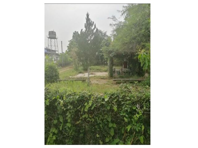 ขายที่ดิน : ที่ดิน อ.ดอยสะเก็ด ถ.เชียงใหม่ - ดอยสะเก็ด