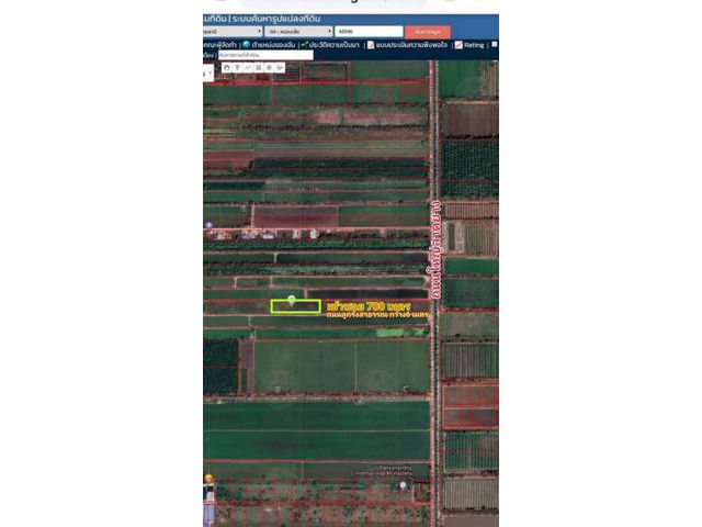 ที่ดินคลอง 8 รังสิต- ธัญบุรี 1 ไร่ ราคา 1 ล้านบาท