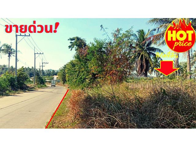 ขายที่ดิน ชลบุรี เขาไม้แก้ว เนื้อที่ 15ไร่ อ.บางละมุง จ.ชลบุรี*ขายถูก*