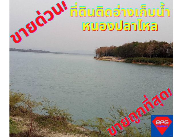 ขายที่ดินระยอง ปลวกแดง 12-3-39ไร่ ติดอ่างเก็บน้ำหนองปลาไหล*ขายถูกด่วน*