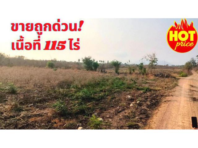 ขายที่ดิน นครสวรรค์ ตาคลี เนื้อที่ 115 ไร่ ต.หัวหวาย อ.ตาคลี จ.นครสวรรค์*ขายถูก*