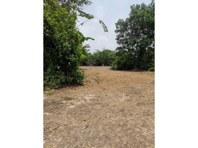 ที่ดินคลอง8 ขนาด30 ไร่ ติดถนนลาดยาง