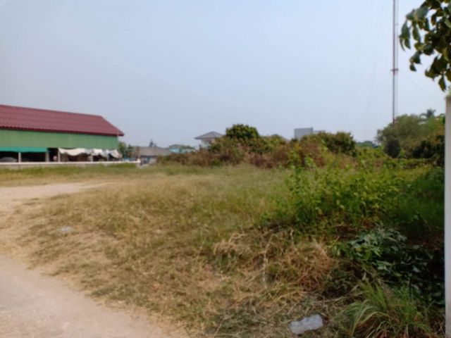 BSS0064 ขายที่ดินแปลงสวย   พร้อมเอกสารสิทธฺ์โฉนด   ที่ดินทำเลสวย  ขนาดพื้นที่  100 ตารางวา