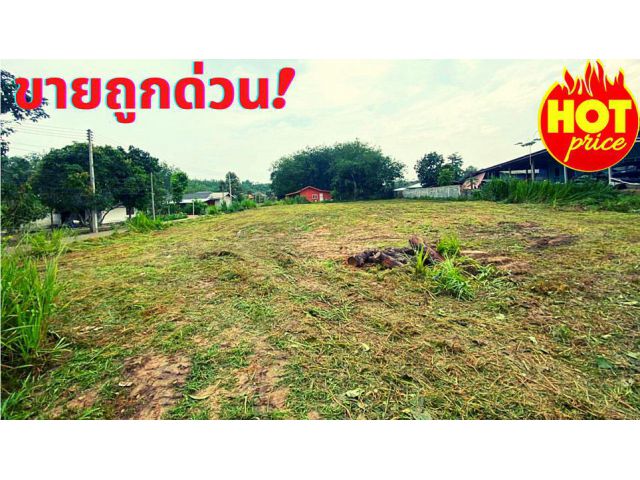 ขายที่ดินระยอง บ้านค่าย เนื้อที่ 1ไร่ ต.หนองละลอก อ.บ้านค่าย*ขายถูกด่วน*
