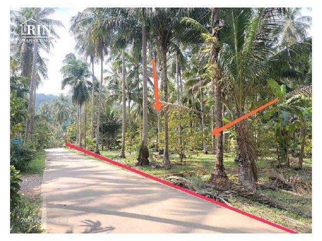 R086 -291 ขายที่ดินเปล่า 14 ไร่  เกาะช้างใต้ อยู่ฝั่งสลักเพชร เข้าทางซอย โรงเรียนสลักเพชร