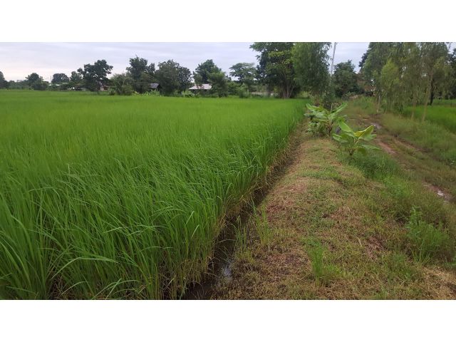 9B1MG0003 ขายที่ดินแปลงสวย   พร้อมเอกสารสิทธฺ์โฉนด   ที่ดินทำเลสวย  ขนาดพื้นที่  2 ไร่ 1งาน  ขายราคา 7,500,000  บาท