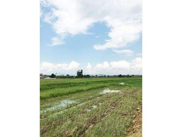 BDK0059 ขายที่ดินแปลงสวย   พร้อมเอกสารสิทธฺ์โฉนด   ที่ดินทำเลสวย  ขนาดพื้นที่ 62.3 ตารางวา   ขายราคา 529,550บาท