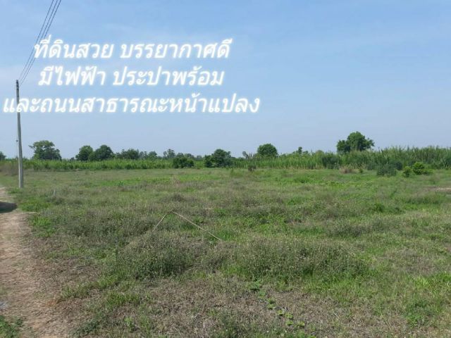 ขายที่ดินสวย ทำเลดีมาก 1 ไร่ ((299,000)) บรรยากาศดีมาก เหมาะสร้างบ้านสวนเกษตรยามเกษียณ