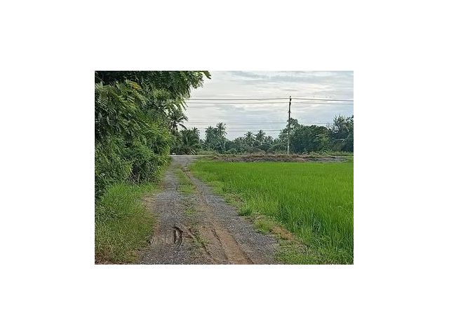 PR177 ขายที่ดิน 3 ไร่ ยกแปลง 3.9 ล้าน รวมโอนและภาษี