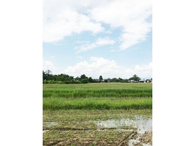 BDK0061 ขายที่ดินแปลงสวย   พร้อมเอกสารสิทธฺ์โฉนด   ที่ดินทำเลสวย  ขนาดพื้นที่ 62.9 ตารางวา   ขายราคา 534,650 บาท
