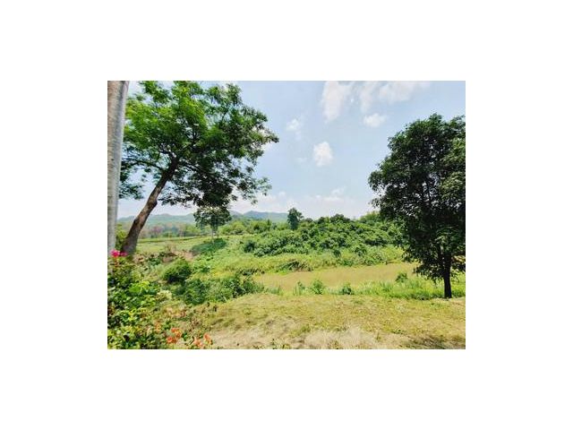 ขายที่ดินติดแม่น้ำป่าสัก แก่งคอย สระบุรี