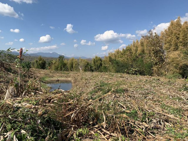 ขายที่ดินในปาย แม่ฮ่องสอน!!