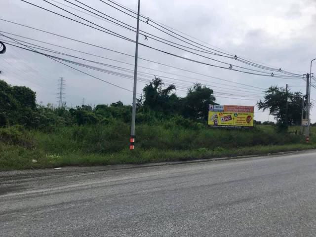 ขายที่ดินสวย19ไร่ ติดถนนบ้านเก่าพานทอง (อมตะชลบุรี)
