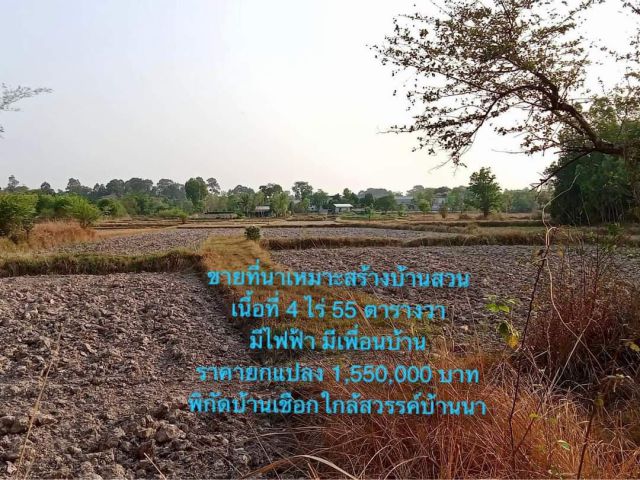 ที่ดินเปล่าพร้อมที่นา เนื้อที่ 4 ไร่ 55 ตรว.พิกัดบ้านเชือก ต.หนองขอน ราคาถูก เอกสารโฉนดพร้อมโอน