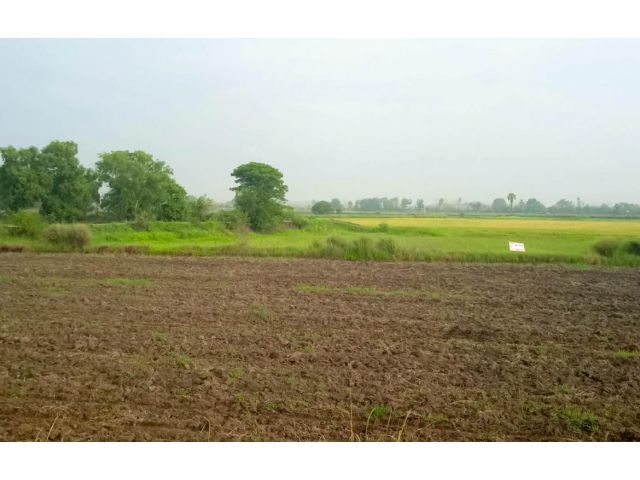 ขายที่ดิน 6 ไร่ 57 ตร.ว. ประจันตคาม จ.ปราจีนบุรี