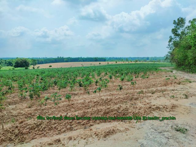 ️ขายที่โคก ที่ดอน ที่ติดถนนหลัก มองเห็นวิวเขา ด้านข้างติดคลอง ใกล้แหล่งท่องเที่ยว เนื้อที่ 17-3-34 ไร่