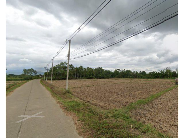 ขายที่ดินเมืองเชียงราย 2 ไร่ ติดถ.คอนกรีตใกล้ถ.พหลโยธิน(1) - 500 เมตร จ.เชียงราย