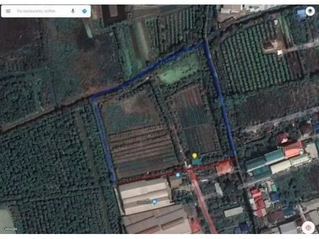 PY47L47  ขายด่วนที่ดินแปลงสวย ใกล้เส้นพระราม2-มหาชัย 19ไร่