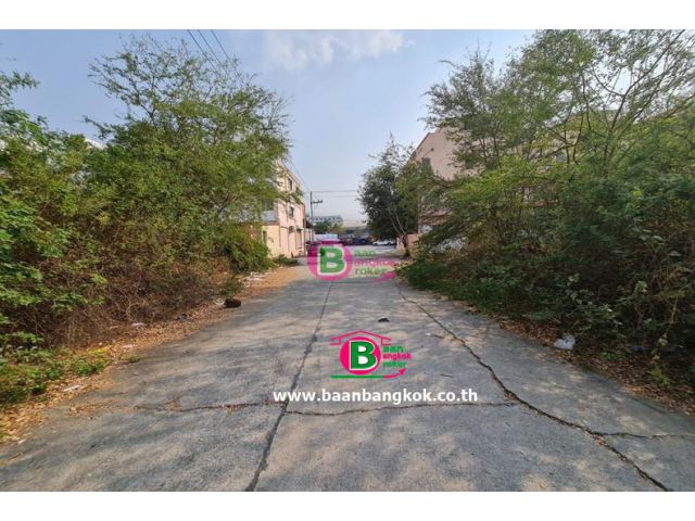 ที่ดินถมแล้ว อยู่ด้านหลังตลาดจอมพลป. เนื้อที่ 272 ตรว. ถนนโรจนะ-อยุธยา บางปะอิน อยุธยา