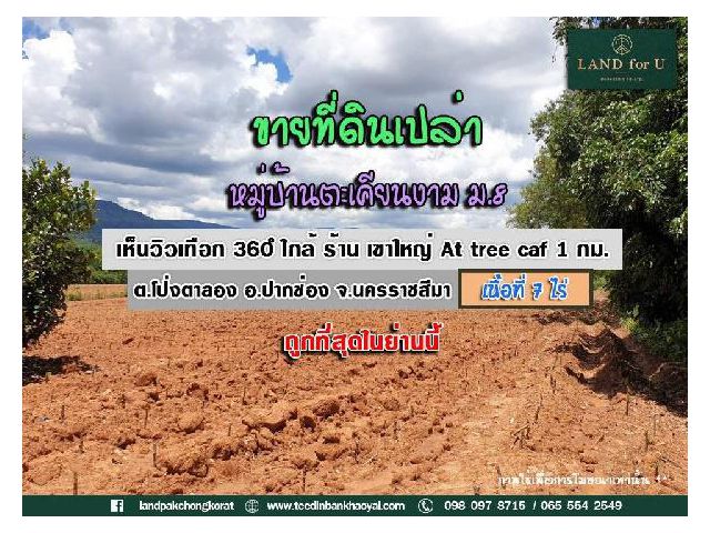 ขายที่ดินวิวเทือกเขาใหญ่ ถูกสุดในย่านนี้ ราคาหลักแสนต่อไร่ หมู่บ้านตะเคียนงาม ม.8 ใกล้ร้าน เขาใหญ่ At tree café