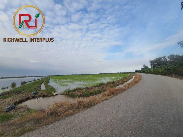 ขายที่ดิน 49 ไร่ ติดถ.ลาดยาง ใกล้ถนน 3481 - 4 กม. อ.บางน้ำเปรี้ยว จ.ฉะเชิงเทรา