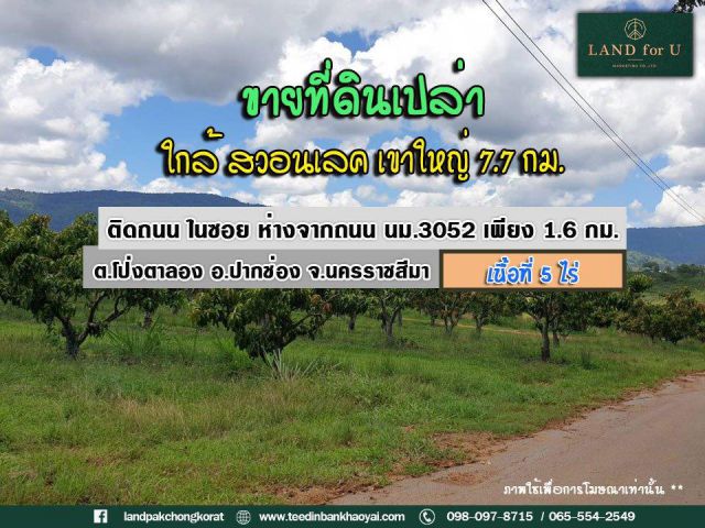 #ขายที่ดินพร้อมสวนมะม่วง #ติดถนน #มองเห็นเทือกเขาใหญ่ #ห่างจากถนน นม.3052 เพียง 1.6 กม. #บรรยากาศร่มรื่น ล้อมรอบด้วยธรรม