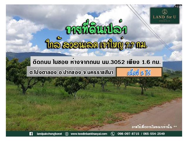 #ขายที่ดินพร้อมสวนมะม่วง #ติดถนน #มองเห็นเทือกเขาใหญ่ #ห่างจากถนน นม.3052 เพียง 1.6 กม. #บรรยากาศร่มรื่น ล้อมรอบด้วยธรรม