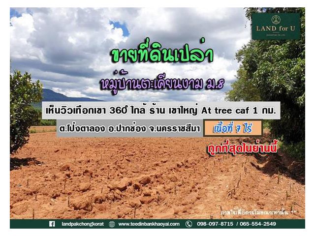 #ขายที่ดินวิวเทือกเขาใหญ่ #ถูกสุดในย่านนี้ #ราคาหลักแสนต่อไร่ #หมู่บ้านตะเคียนงาม ม.8 #ใกล้ร้าน เขาใหญ่ At tree café