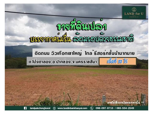 #ขายที่ดินเขาใหญ่ #ติดถนน 4 เลน #วิวเทือกเขาใหญ่ #นม.3052 #ใกล้แหล่งท่องเที่ยว #สาธารณูปโภคพร้อม ไฟฟ้า, น้ำประปา, ถนนสาธ