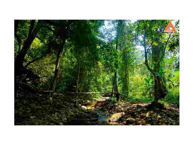 ขายที่ดิน บ้านปางจำปี อำเภอแม่ออน จังหวัดเชียงใหม่