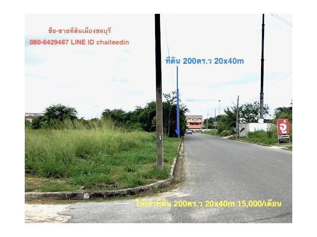 ###ให้เช่าที่ดิน เมืองใหม่ พระยาสัจจา เนื้อที่ 200ตรว.###