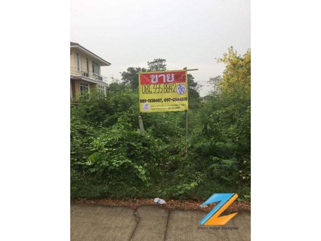 ขายที่ดิน101 ตรว.  ซอยบางแวก 118 บางไผ่ เขตบางแค กรุงเทพม