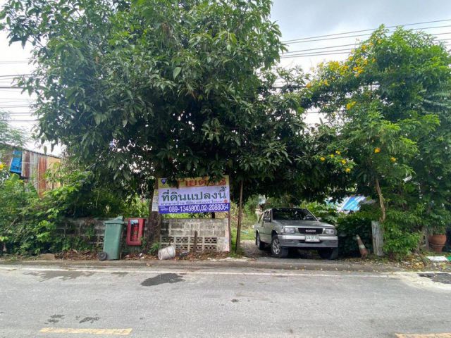 ขายที่ดินท่าอิฐ (รหัสทรัพย์202153) ซอยวัดแดง  ต.ไทรม้า อ.เมือง จ.นนทบุรี ขนาด 217 ตรว.  หน้ากว้าง 18 เมตร