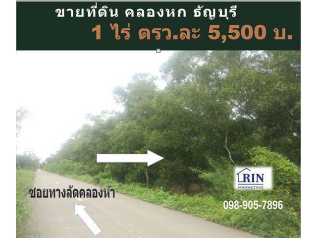 ขายถูกมาก ที่ดินเปล่า 1 ไร่ คลองหก ธัญบุรี ใกล้สนามกอล์ฟ Alpine โรงงานชายสี่บะหมี่เกี๊ยว ม.เทคโนโลยี่ราชมงคลธัญบุรี