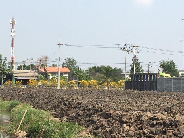 ขายที่ดิน จ.ปทุมธานี ต. คลองหลวง