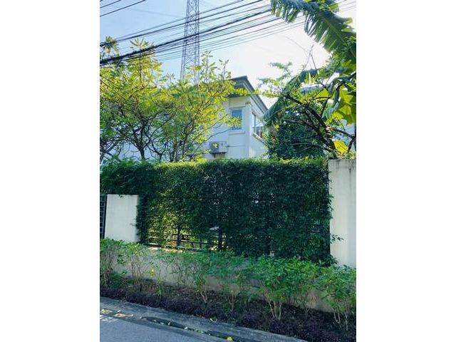 ให้เช่าบ้านเดี่ยว 2ชั้น  ถนนพัฒนาการ