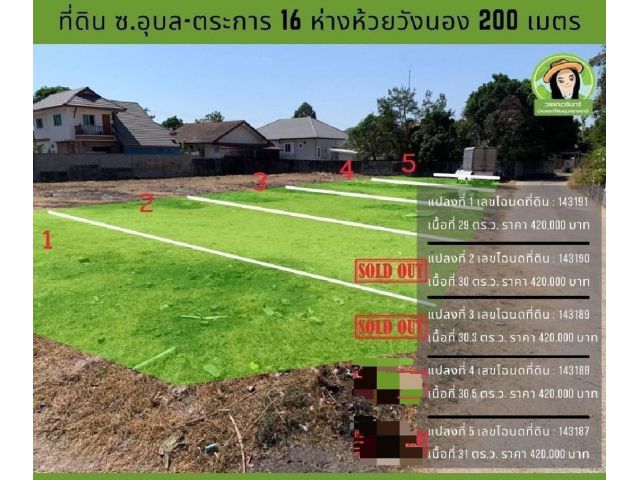 ที่ดินสร้างบ้าน ซอยอุบล-ตระการ 16 แปลงละ 420,000 บาท ใกล้ห้วยวังนอง